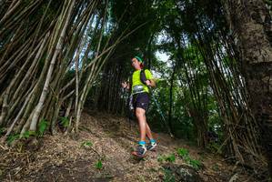 BIB: 
                            <button type="button" onclick="openModal(19395803)" class="btn btn-primary btn-sm float-right btn-popup" data-toggle="modal" data-target=".modal-high-quality">
                        <i class="fas fa-shopping-cart"></i> Add to Cart
                    </button>
                                            <button type="button" onclick="isThisMe(19395803, true)" class="btn btn-success btn-sm float-right btn-popup btn-isme hidden" data-toggle="tooltip" data-placement="bottom" title="นี่คือรูปของคุณใช่ไหม คลิกที่นี่เพื่อเอาเข้าอัลบั้ม">
                        <i class="fas fa-plus"></i> Add to album
                    </button>
                    <button type="button" onclick="isThisMe(19395803, false)" class="btn btn-warning btn-sm float-right btn-popup btn-isnotme hidden">
                        <i class="fas fa-ban"></i> Remove from album
                    </button>